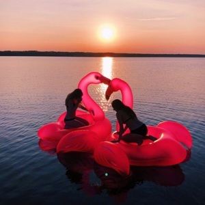 Meet your Posher, Adriana